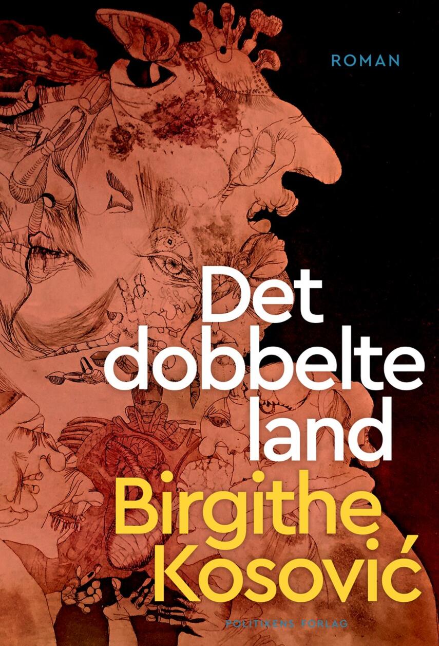 Birgithe Kosović: Det dobbelte land