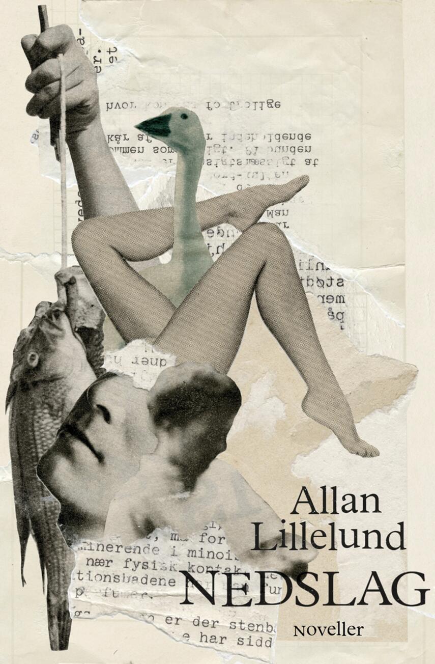 Allan Lillelund Andersen: Nedslag : noveller