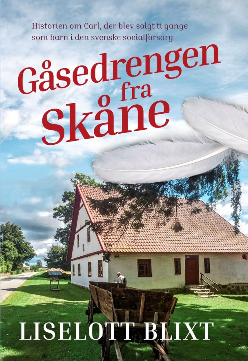 Liselott Blixt: Gåsedrengen fra Skåne