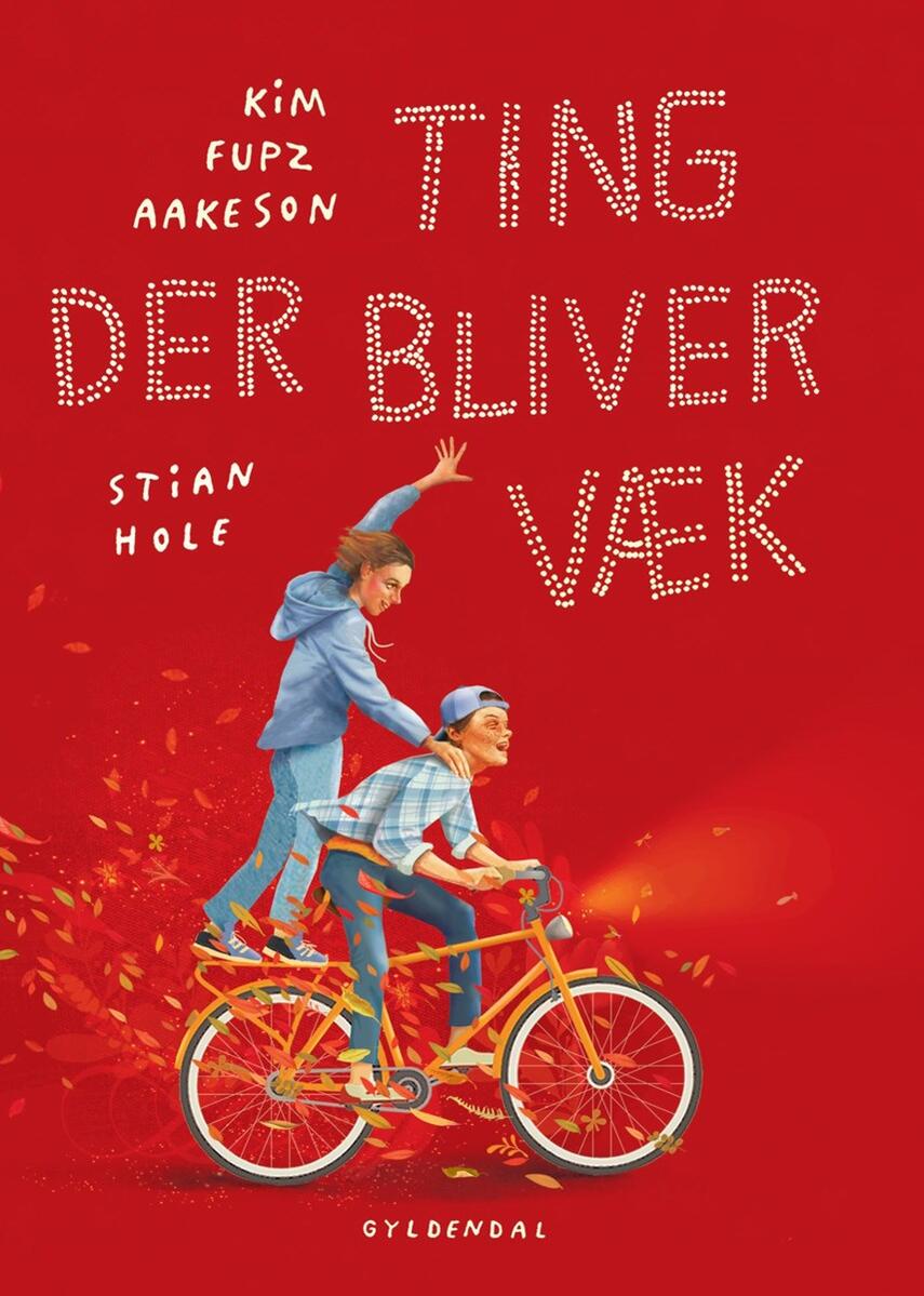 Kim Fupz Aakeson, Stian Hole: Ting der bliver væk