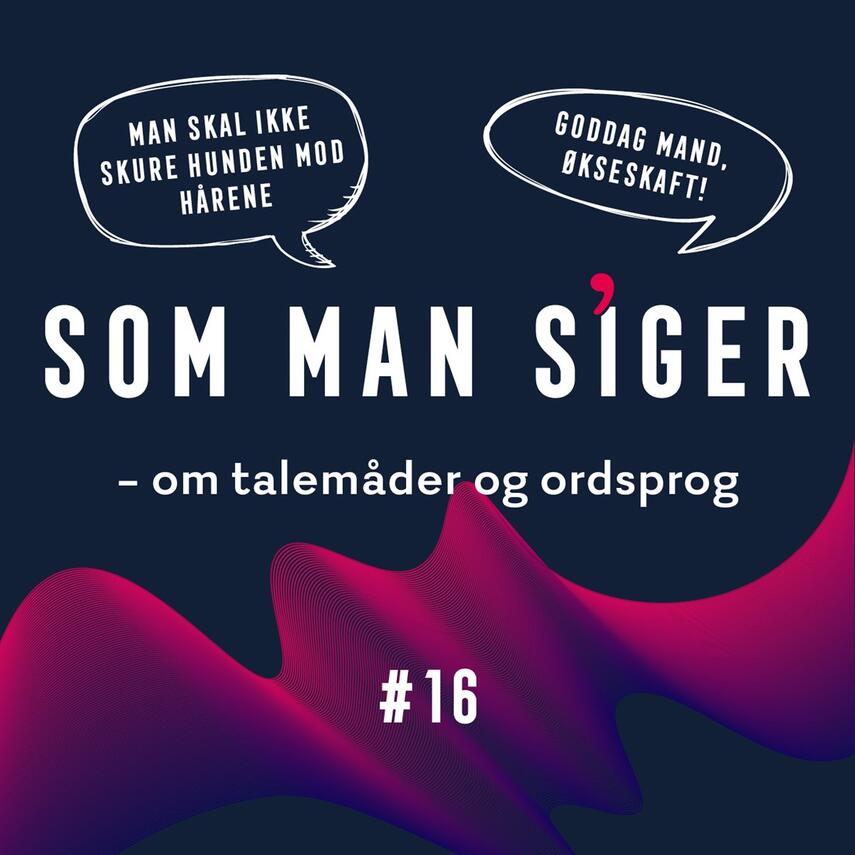 Michael Ejstrup: Som man siger. 16, Om talemåder og ordsprog