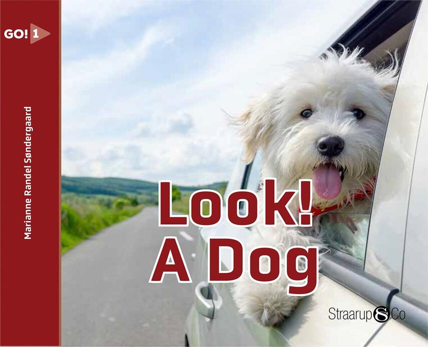 Marianne Randel Søndergaard: Look! A dog
