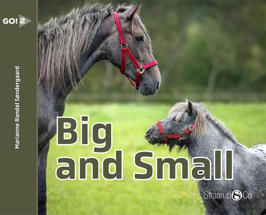 Marianne Randel Søndergaard: Big and small