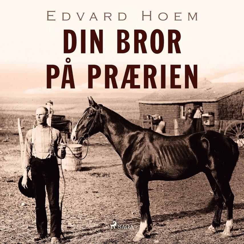 Edvard Hoem: Din bror på prærien : roman