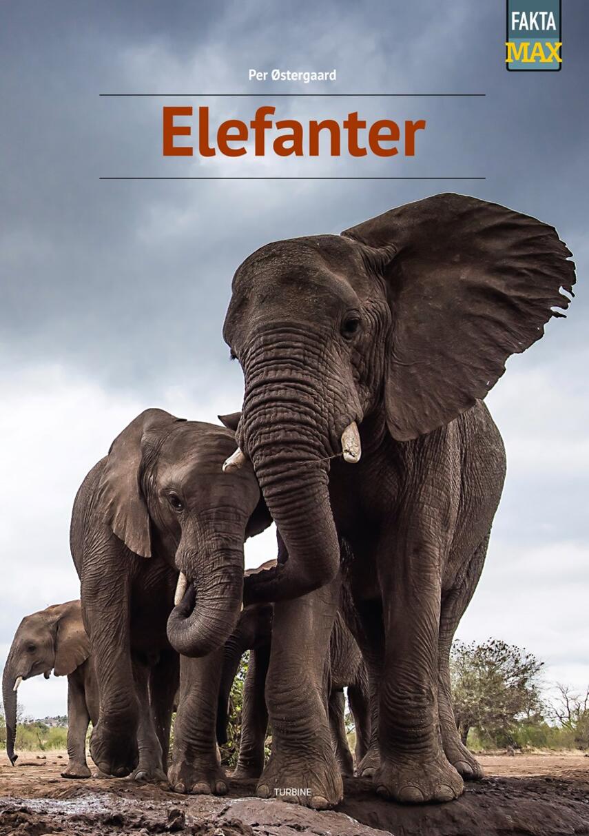 Per Østergaard (f. 1950): Elefanter