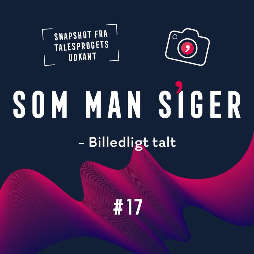 Michael Ejstrup: Som man siger. 17, Billedligt talt