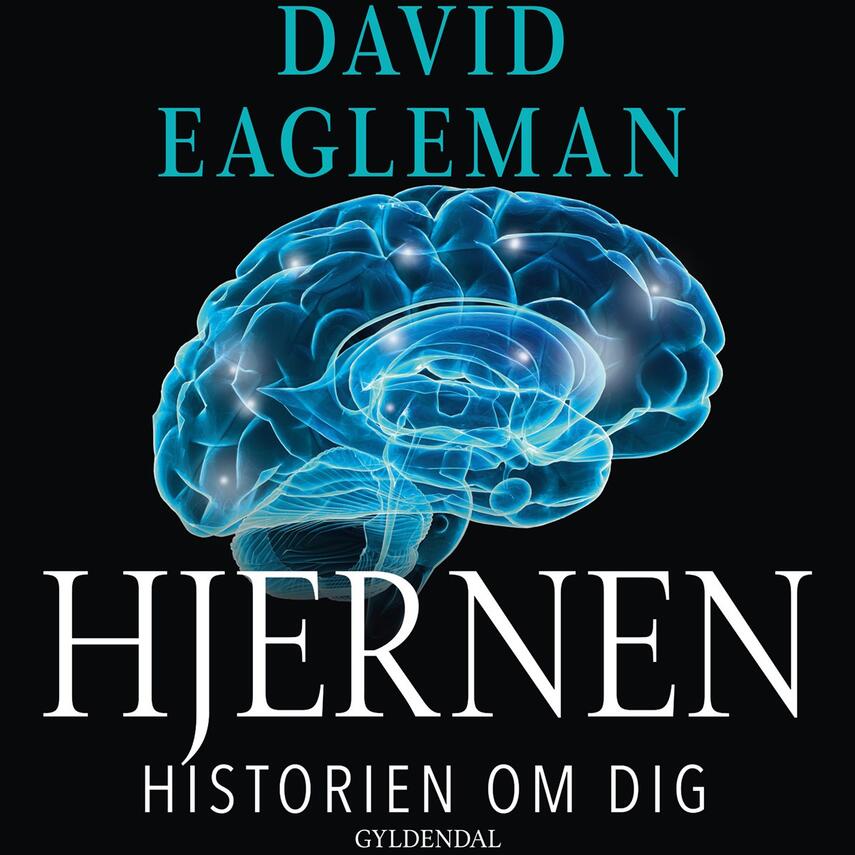 David Eagleman: Hjernen : historien om dig