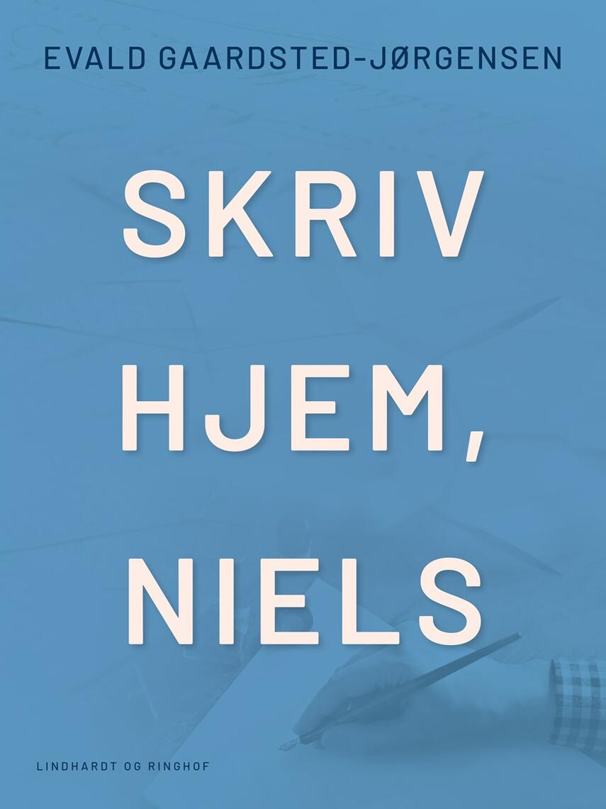 Evald Gaardsted-Jørgensen: Skriv hjem, Niels : roman