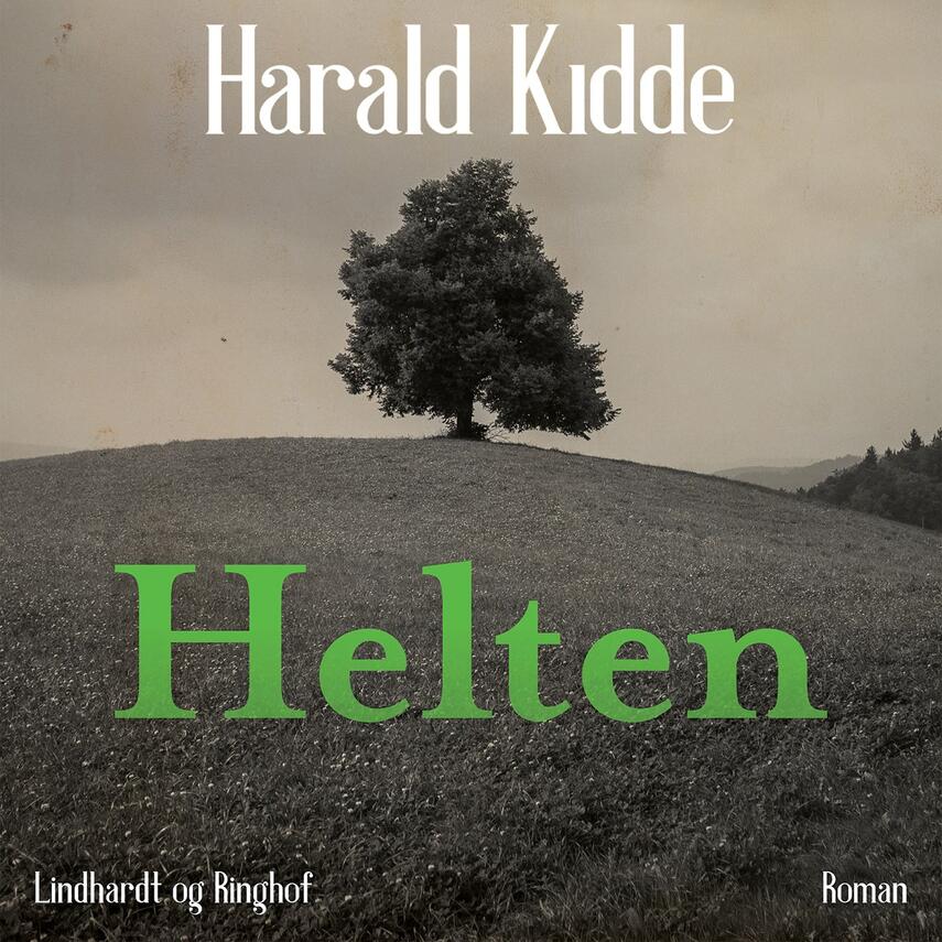 Harald Kidde: Helten