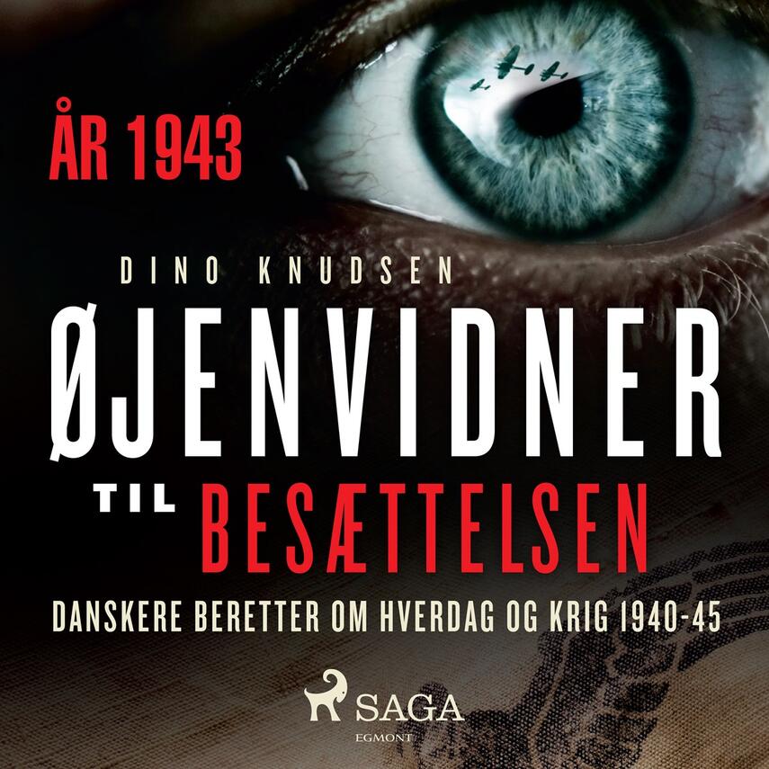 : Øjenvidner til besættelsen : danskere beretter om hverdag og krig. År 1943