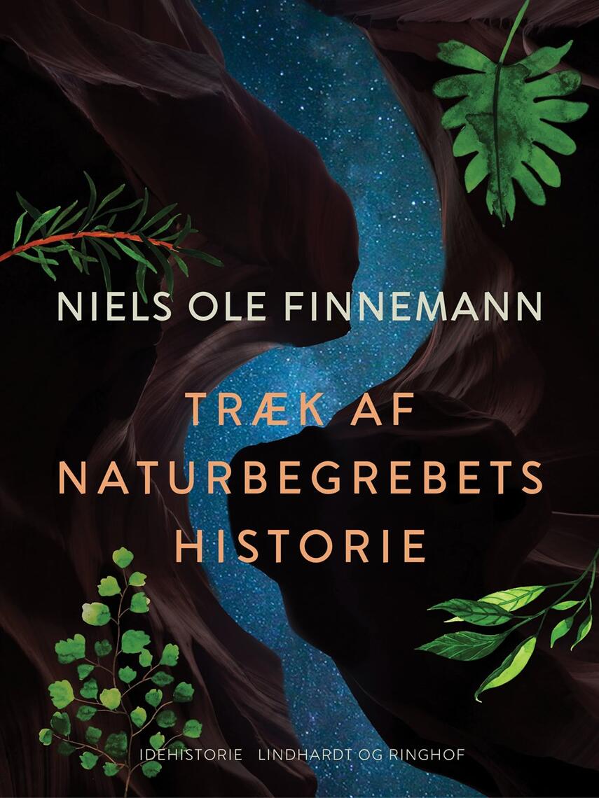 Niels Ole Finnemann: Træk af naturbegrebets historie