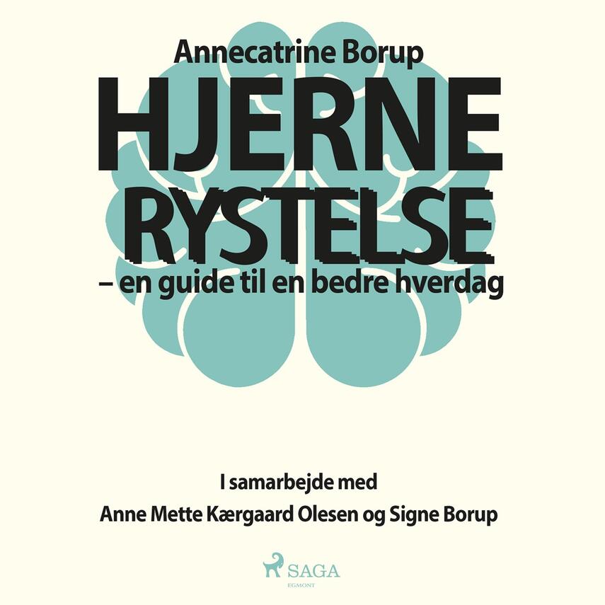 Annecatrine Borup: Hjernerystelse : en guide til en bedre hverdag