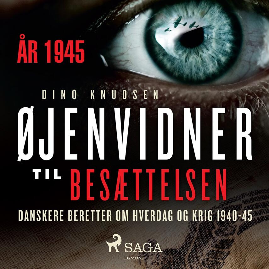 : Øjenvidner til besættelsen : danskere beretter om hverdag og krig. 1945