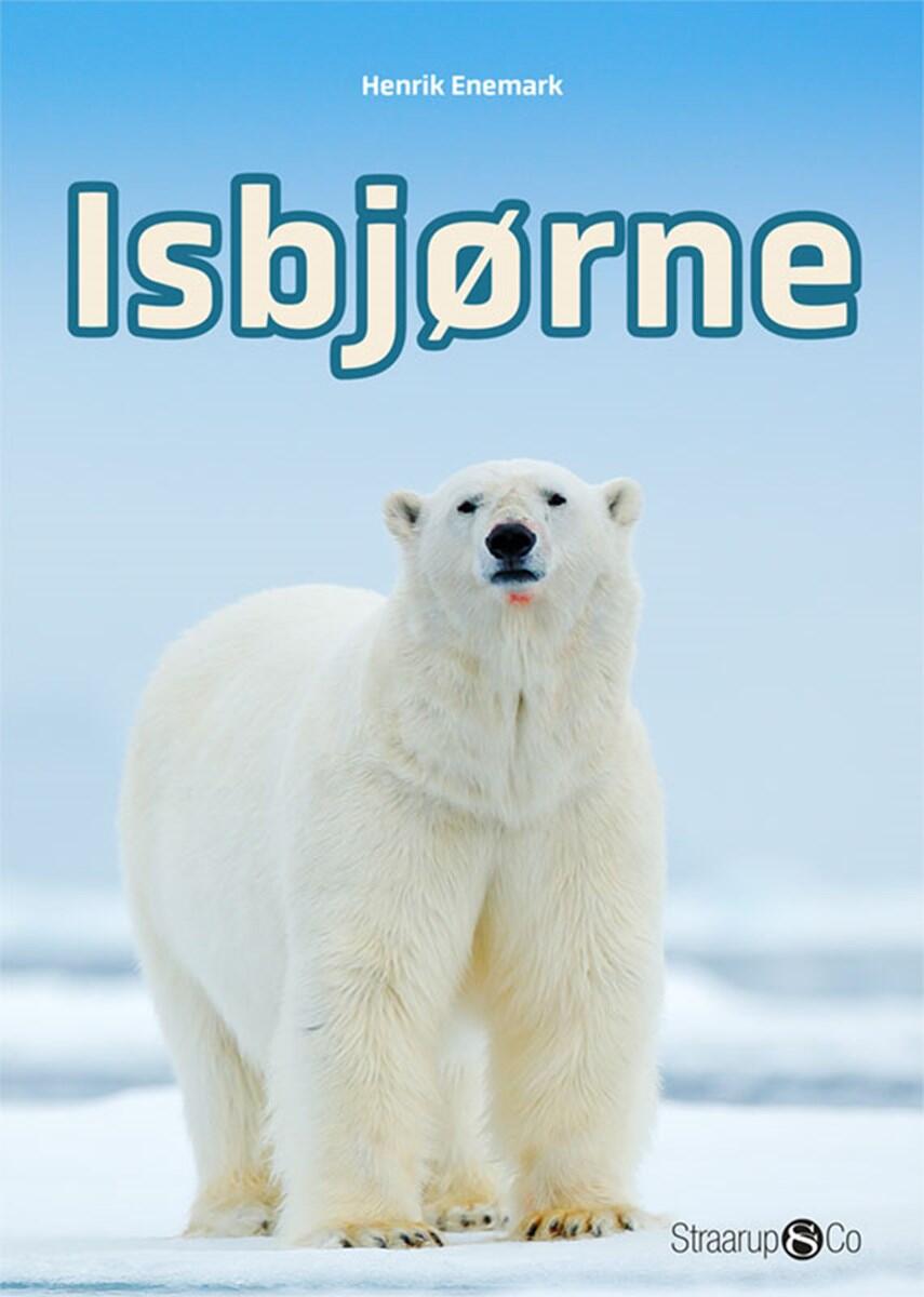 Henrik Enemark: Isbjørne