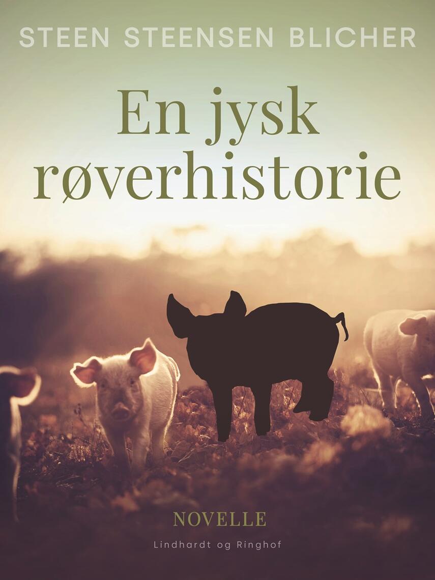 : En jysk røverhistorie