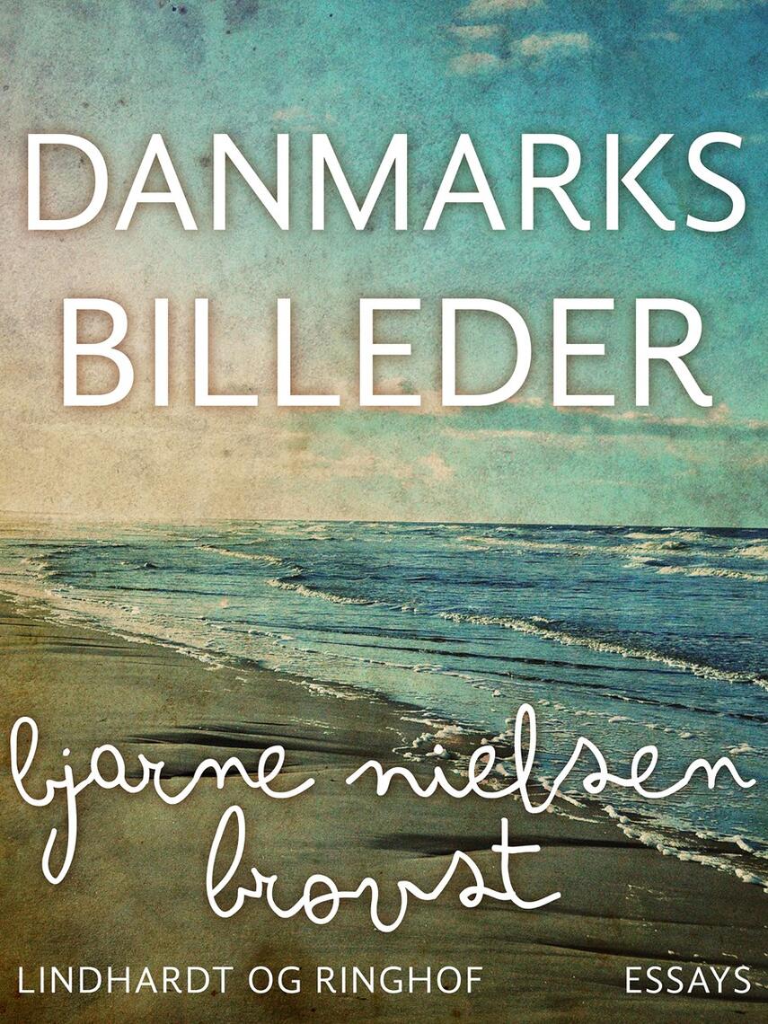Bjarne Nielsen Brovst: Danmarksbilleder : essays
