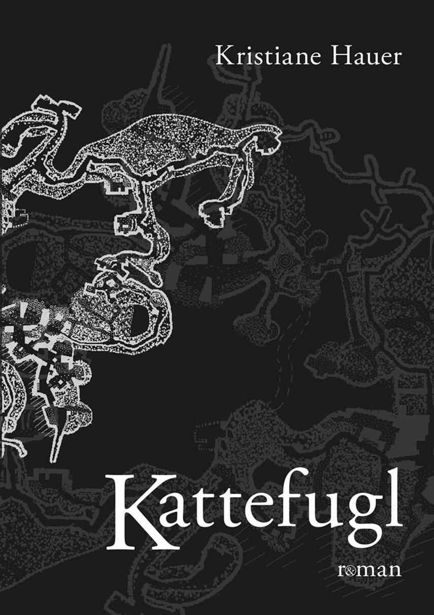 Kristiane Hauer: Kattefugl : roman