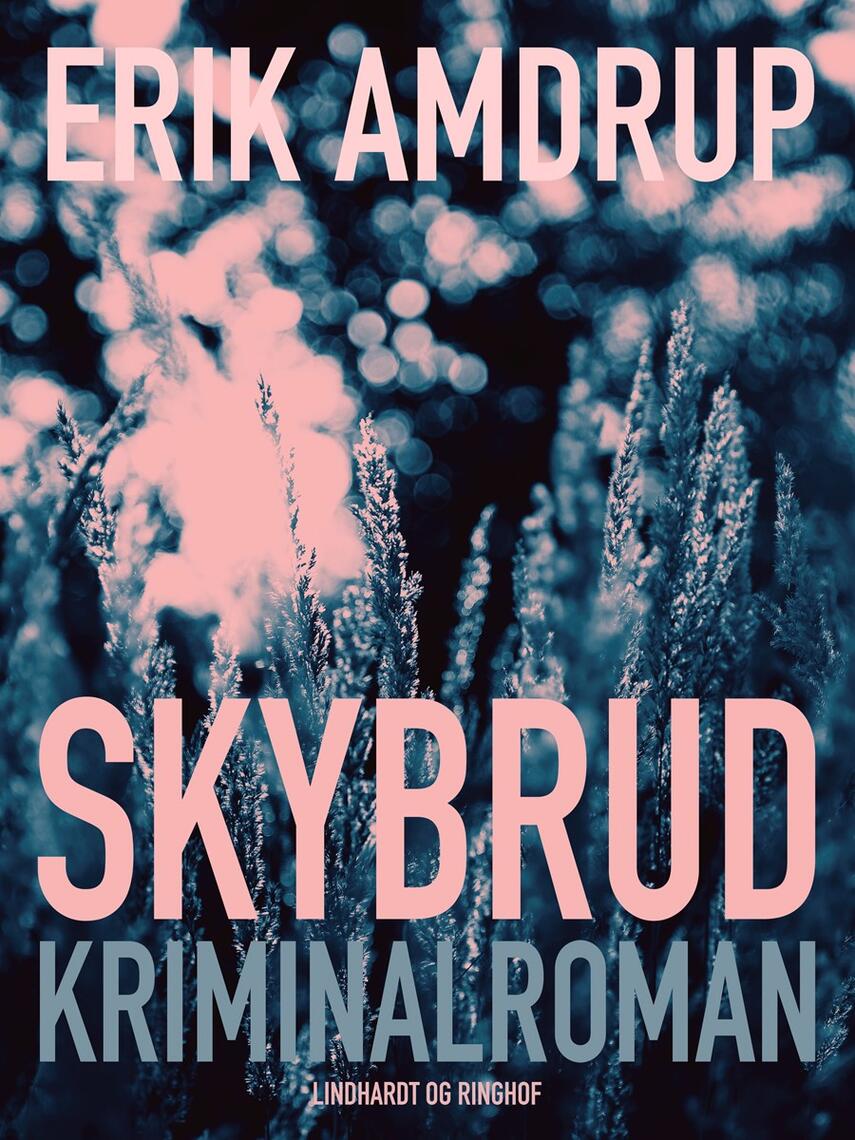 Erik Amdrup: Skybrud