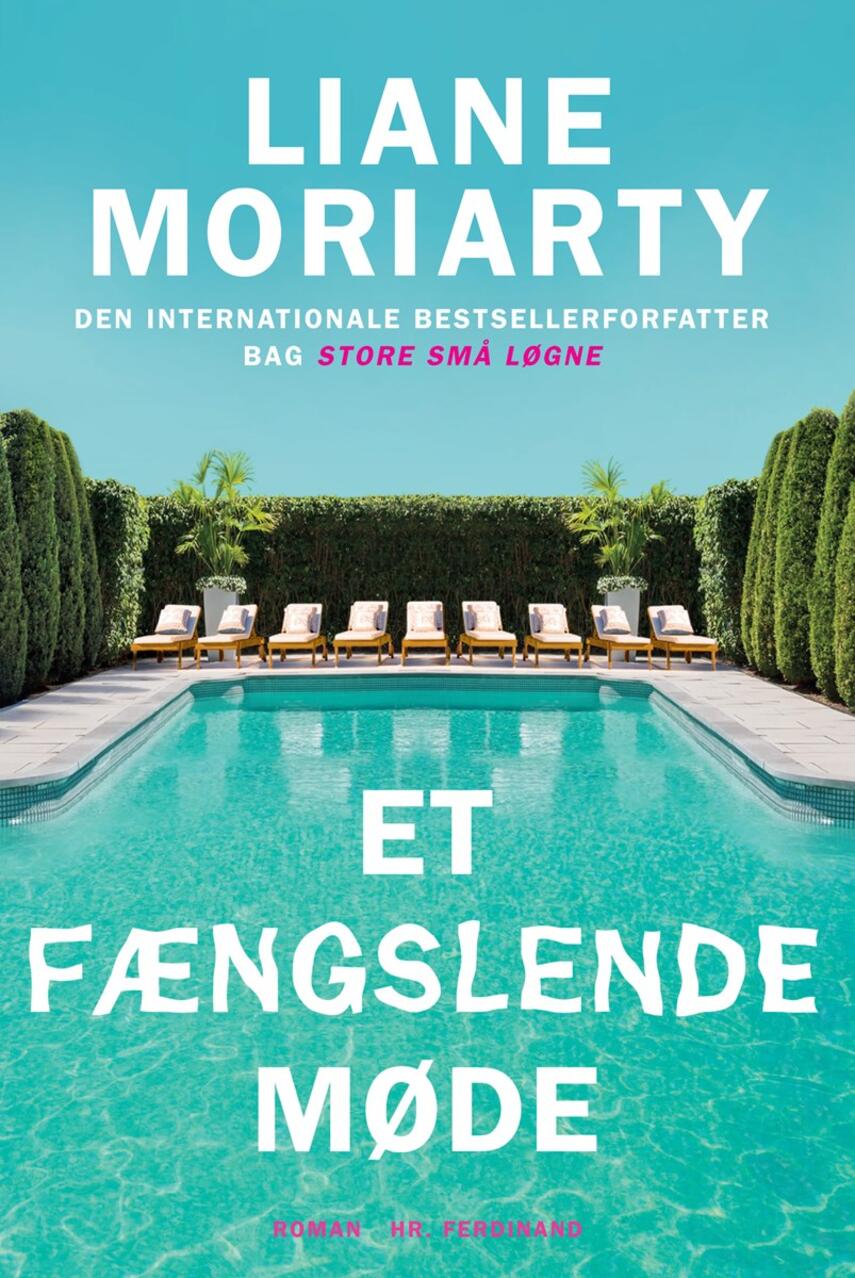 Liane Moriarty: Et fængslende møde : roman