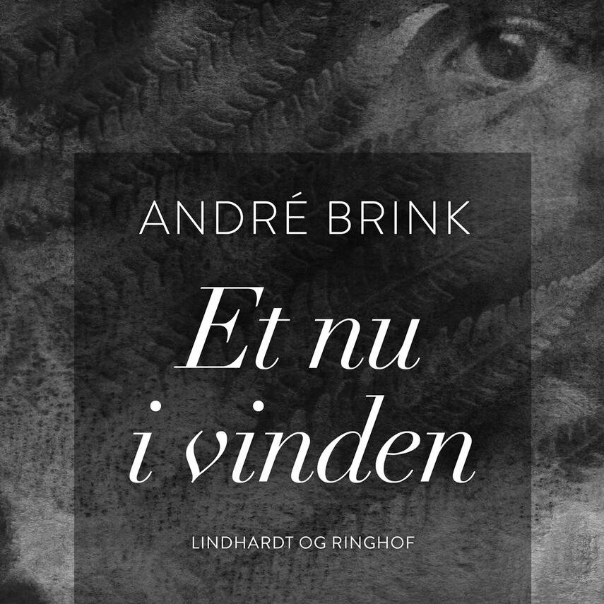 André Brink: Et nu i vinden