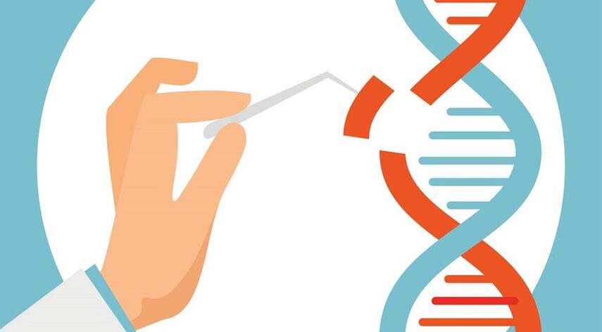 Henrik Føhns: DNA-saks forandrer fødevarer