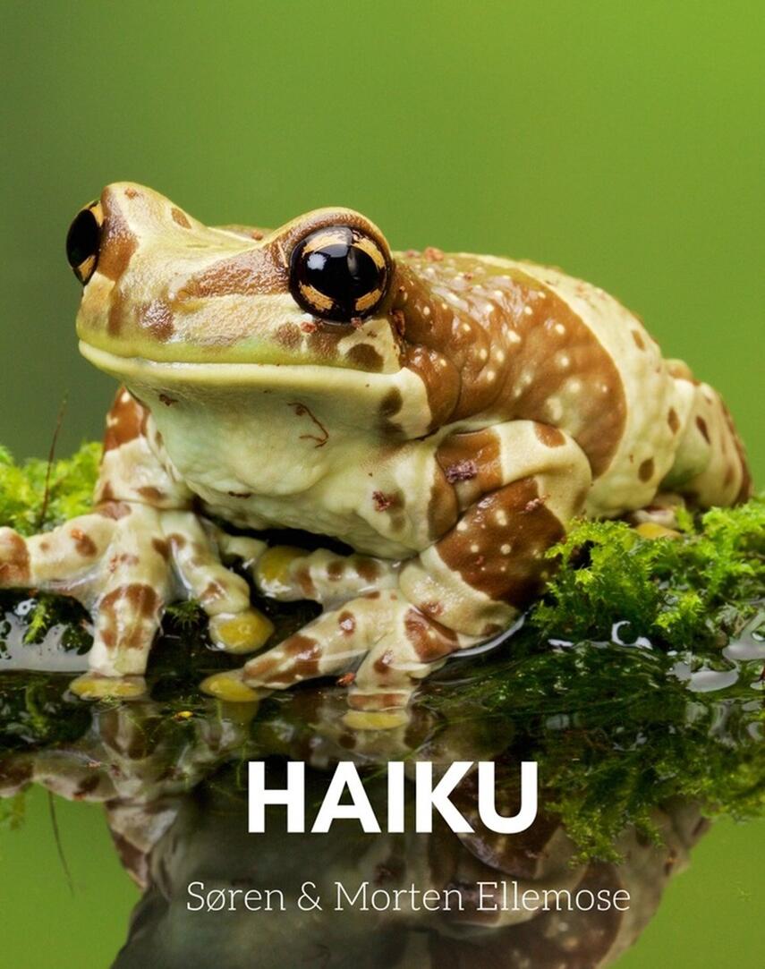 Søren Ellemose, Morten Ellemose: Haiku