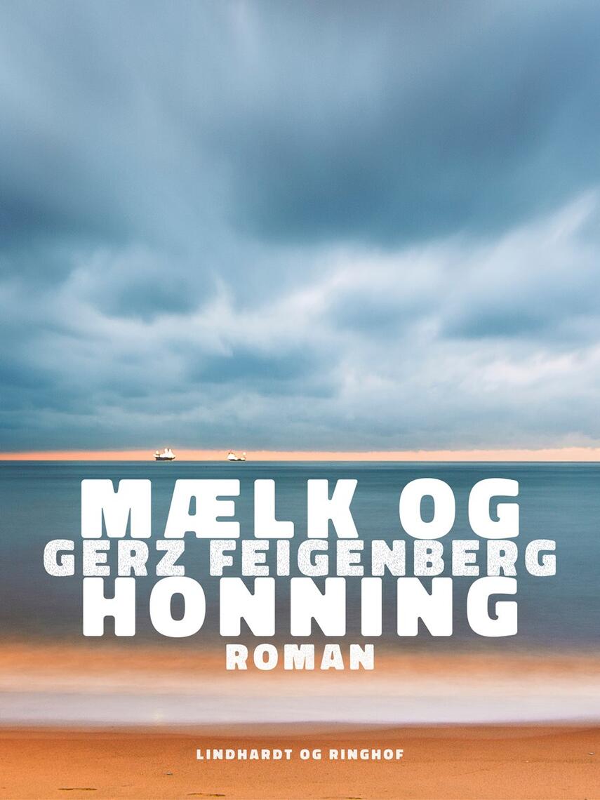 Gerz Feigenberg: Mælk og honning : roman