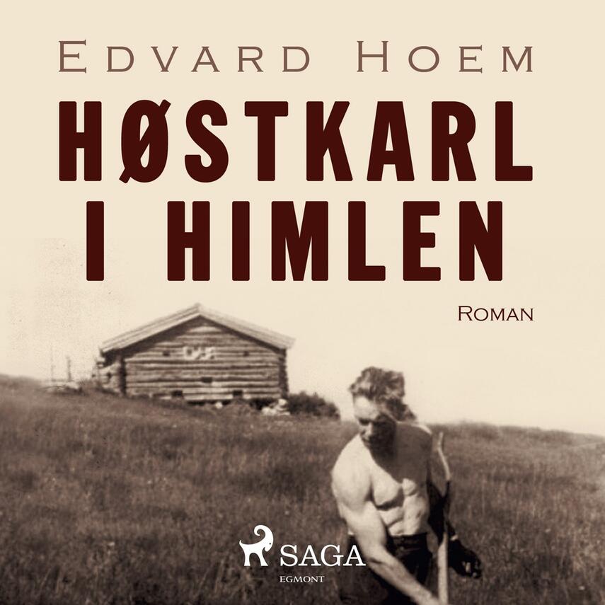 Edvard Hoem: Høstkarl i himlen