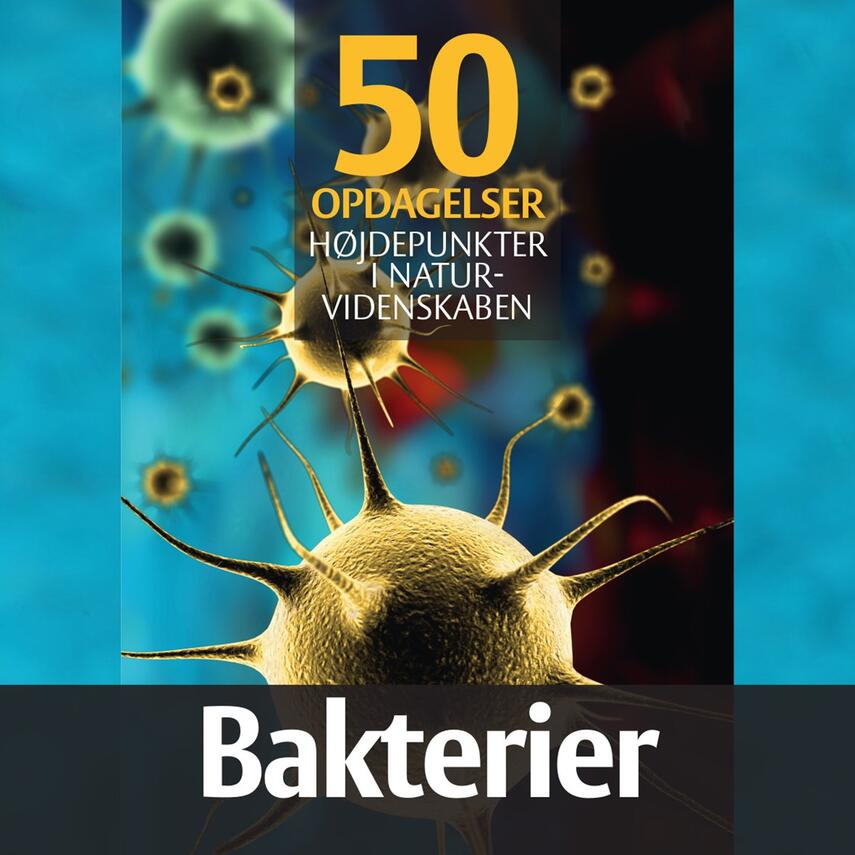 : Bakterier
