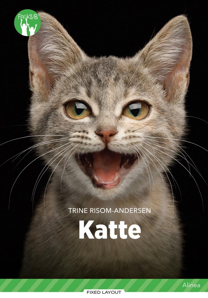 Trine Risom-Andersen: Katte