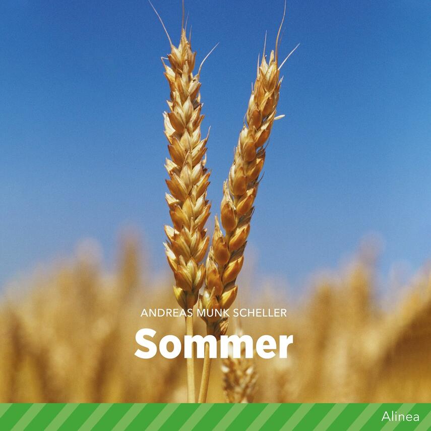 Andreas Munk Scheller: Sommer