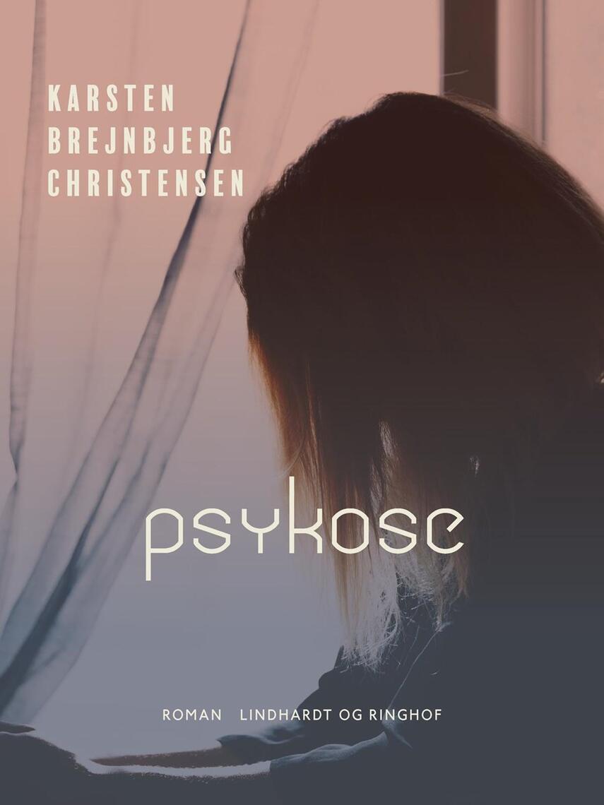 Karsten Brejnbjerg Christensen: Psykose : roman
