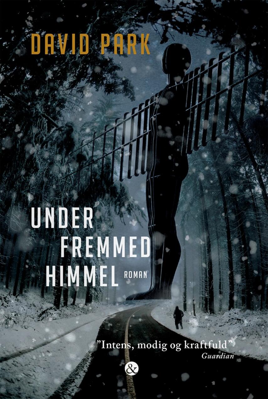 David Park: Under fremmed himmel : roman