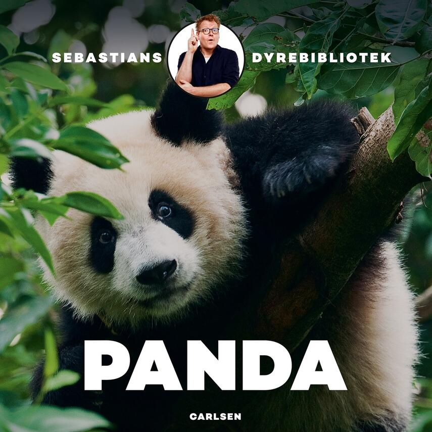 Sebastian Klein: Panda