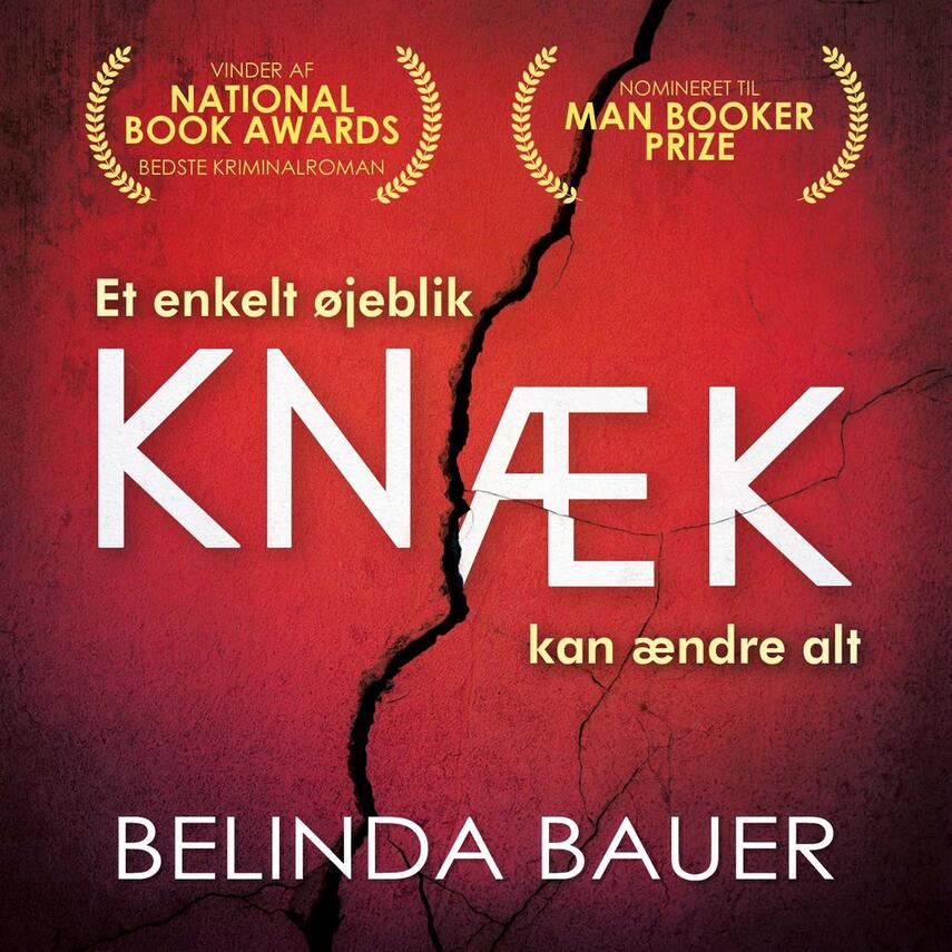 Belinda Bauer: Knæk