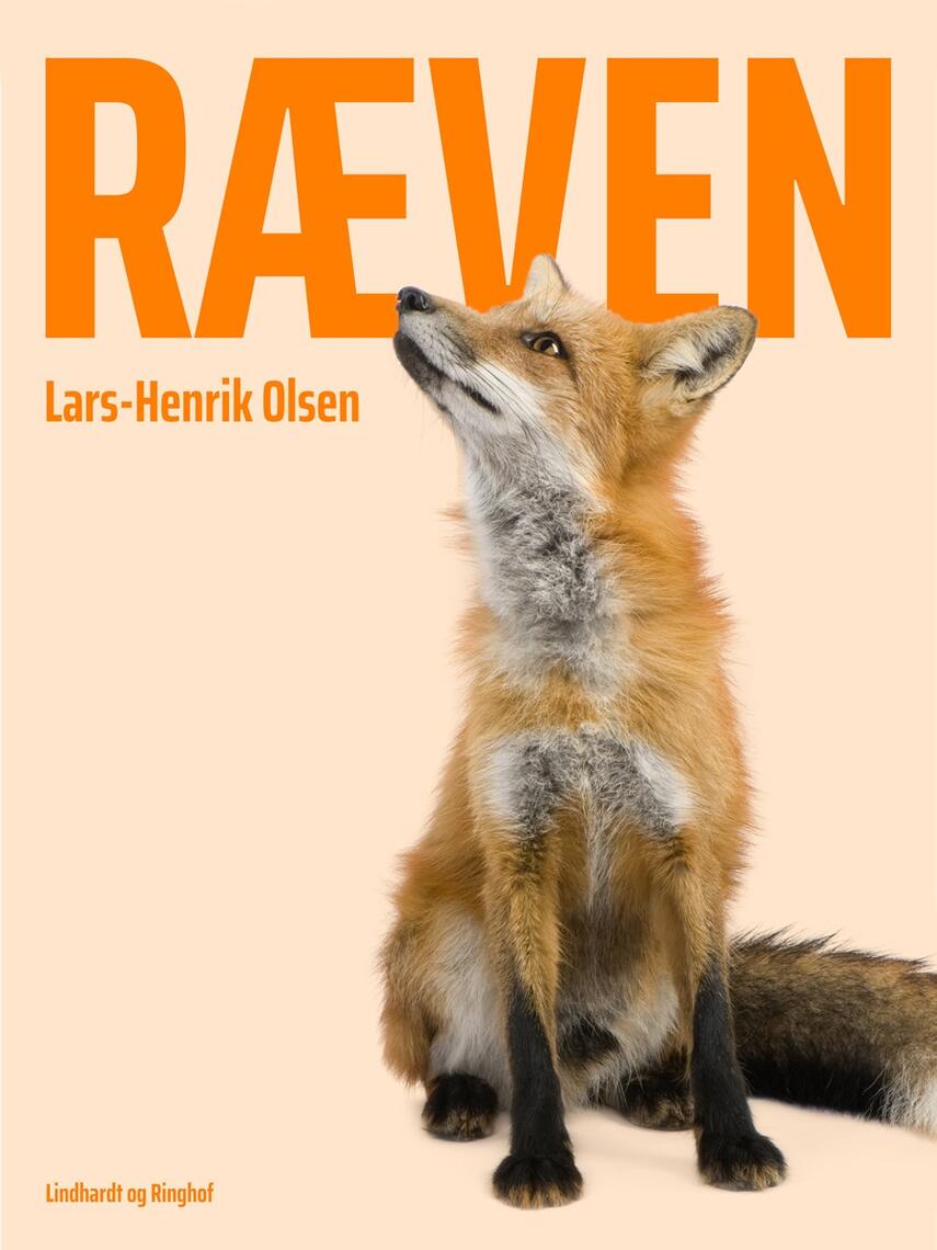 : Ræven