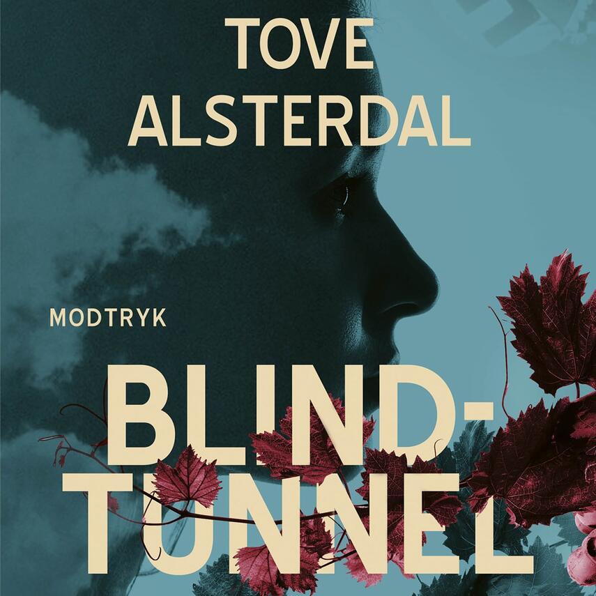 Tove Alsterdal: Blindtunnel