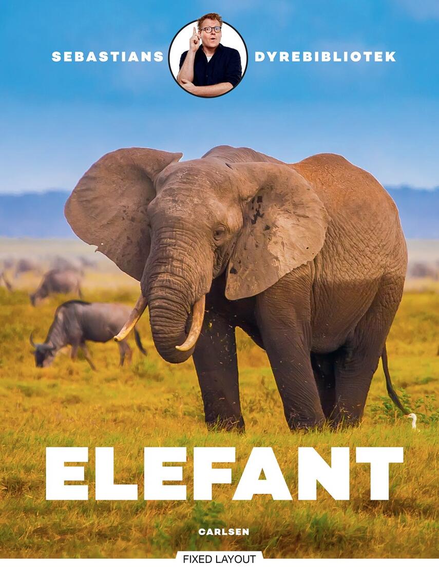 Sebastian Klein: Elefant