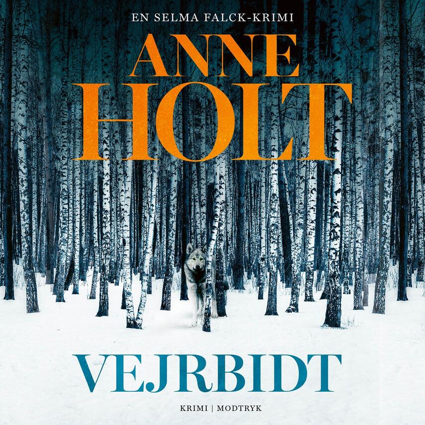 Anne Holt (f. 1958-11-16): Vejrbidt : Selma Falcks anden store sag