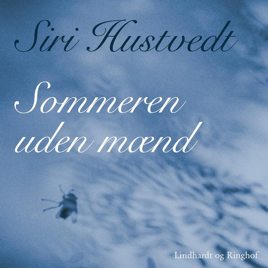 Siri Hustvedt: Sommeren uden mænd