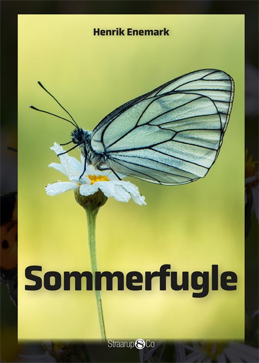 Henrik Enemark: Sommerfugle