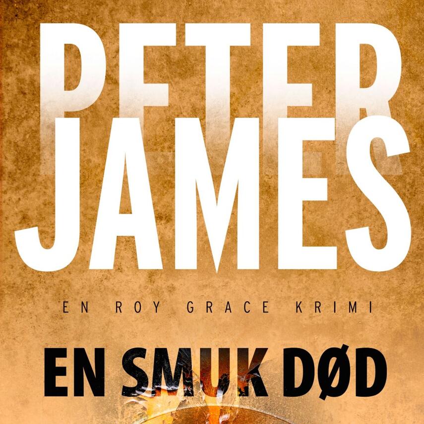Peter James (f. 1948): En smuk død (Ved Martin Johs. Møller)
