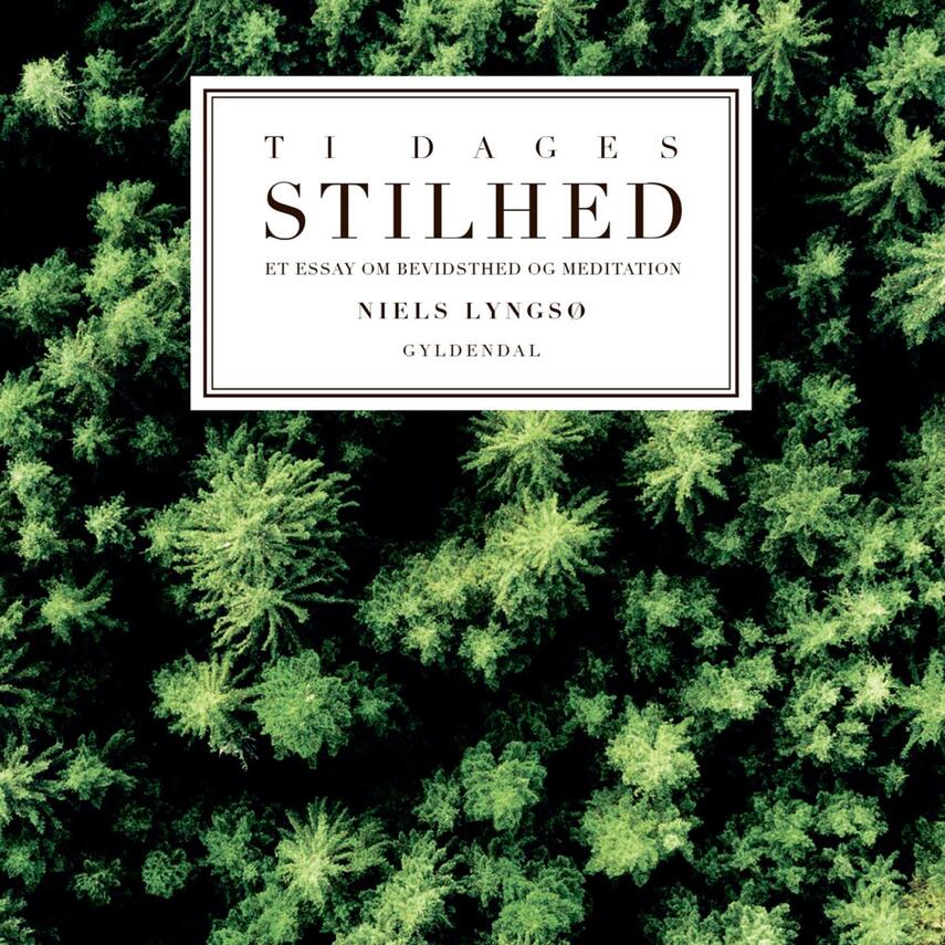Niels Lyngsø: Ti dages stilhed : et essay om meditation og bevidsthed