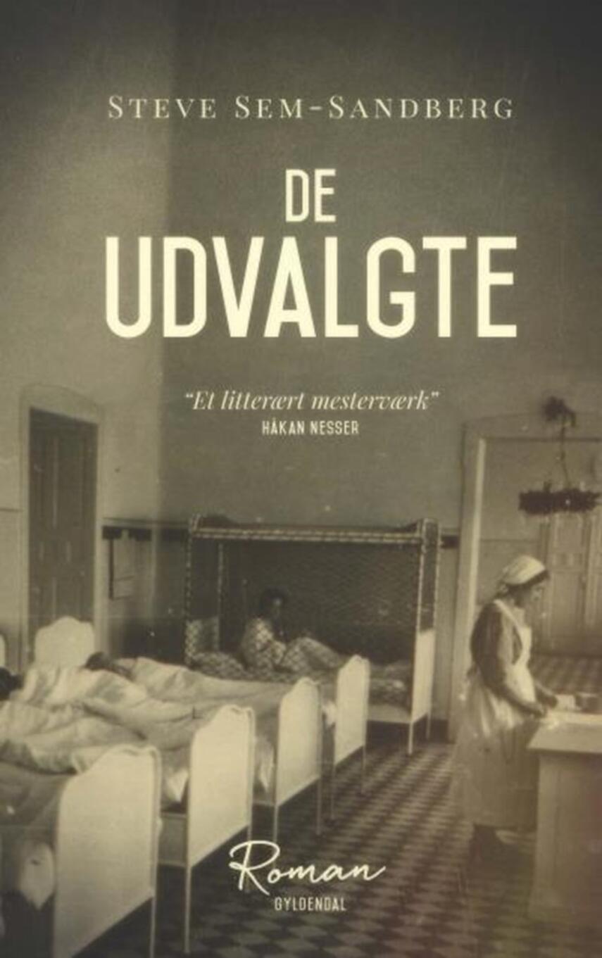 Steve Sem-Sandberg: De udvalgte : roman