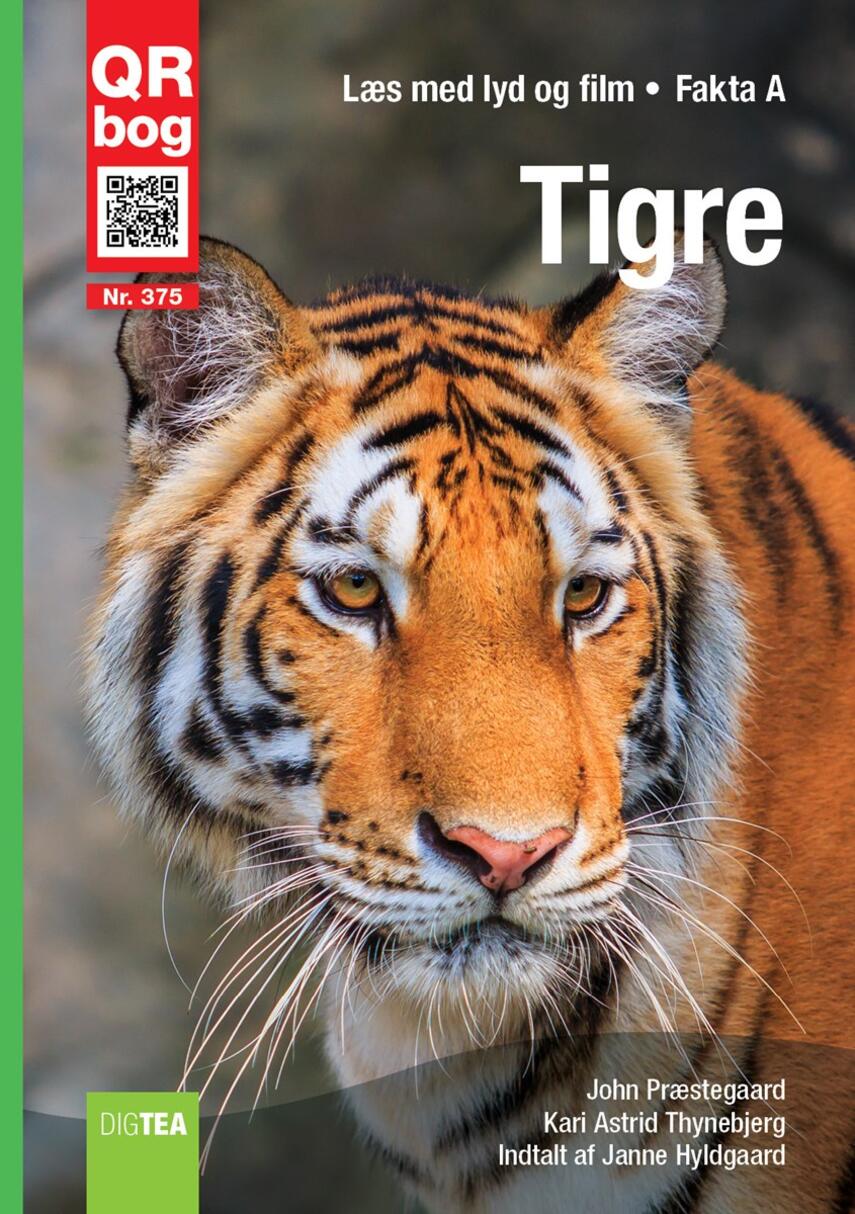 : Tigre