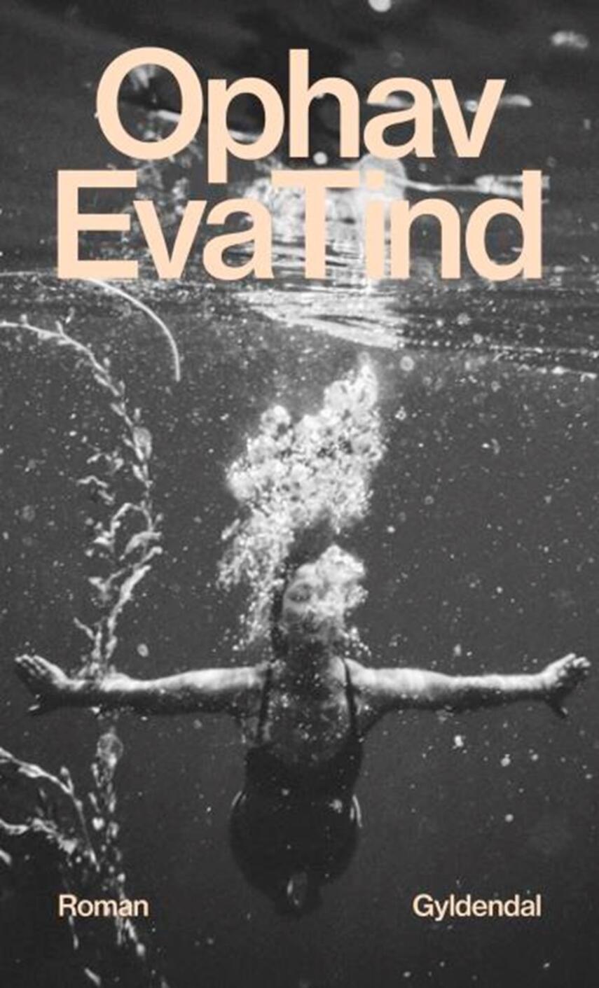 Eva Tind: Ophav : roman