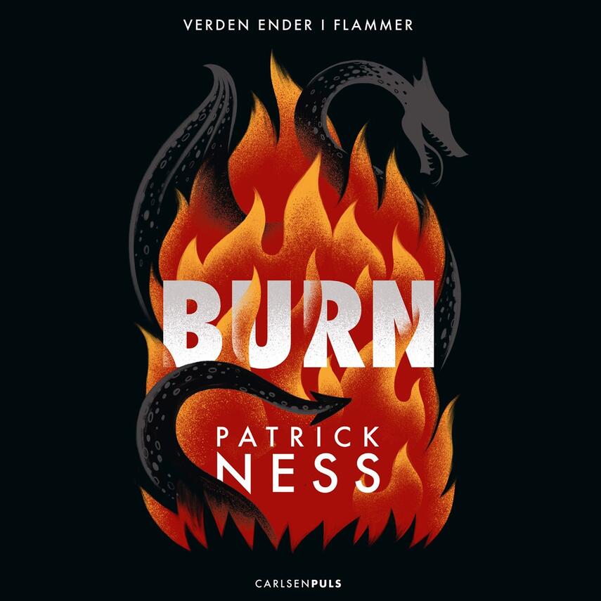 Patrick Ness: Burn