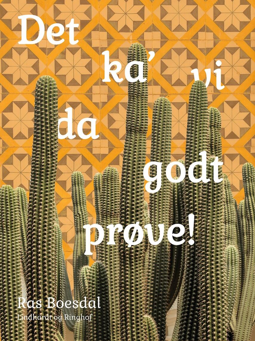 Ras Boesdal: Det ka' vi da godt prøve! : om en rejse rundt i Mexico