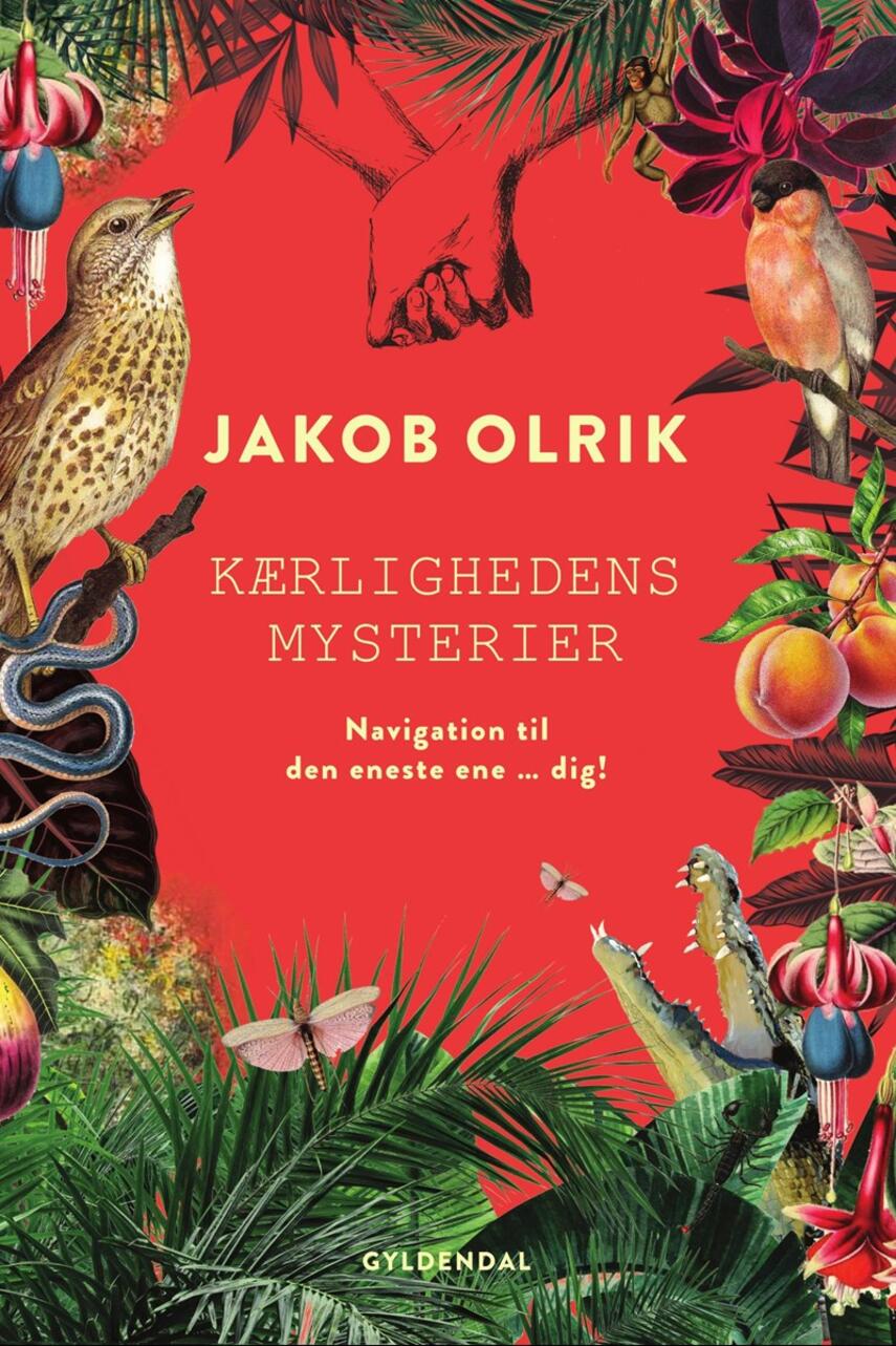 Jakob Olrik: Kærlighedens mysterier : navigation til den eneste ene - dig!