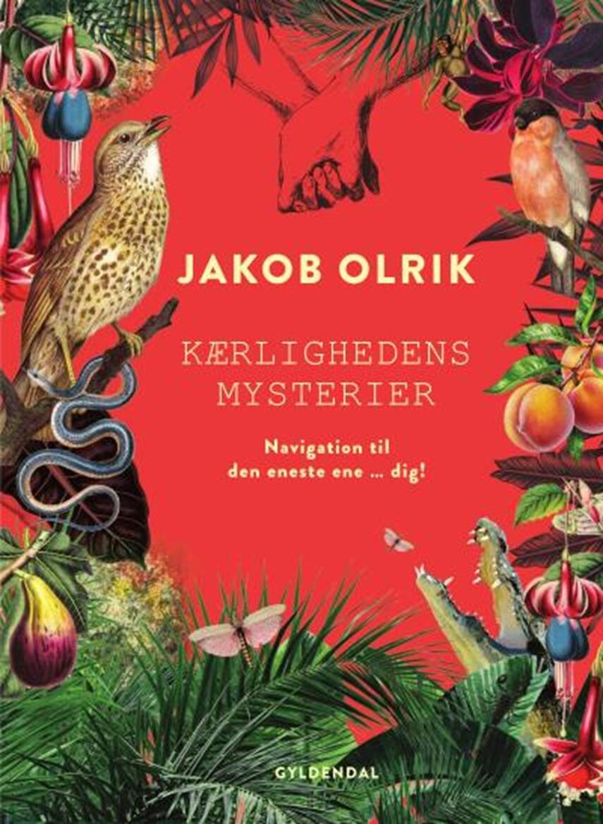 Jakob Olrik: Kærlighedens mysterier : navigation til den eneste ene - dig!